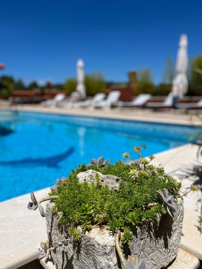 ילסה Apartment With Swimming Pool מראה חיצוני תמונה