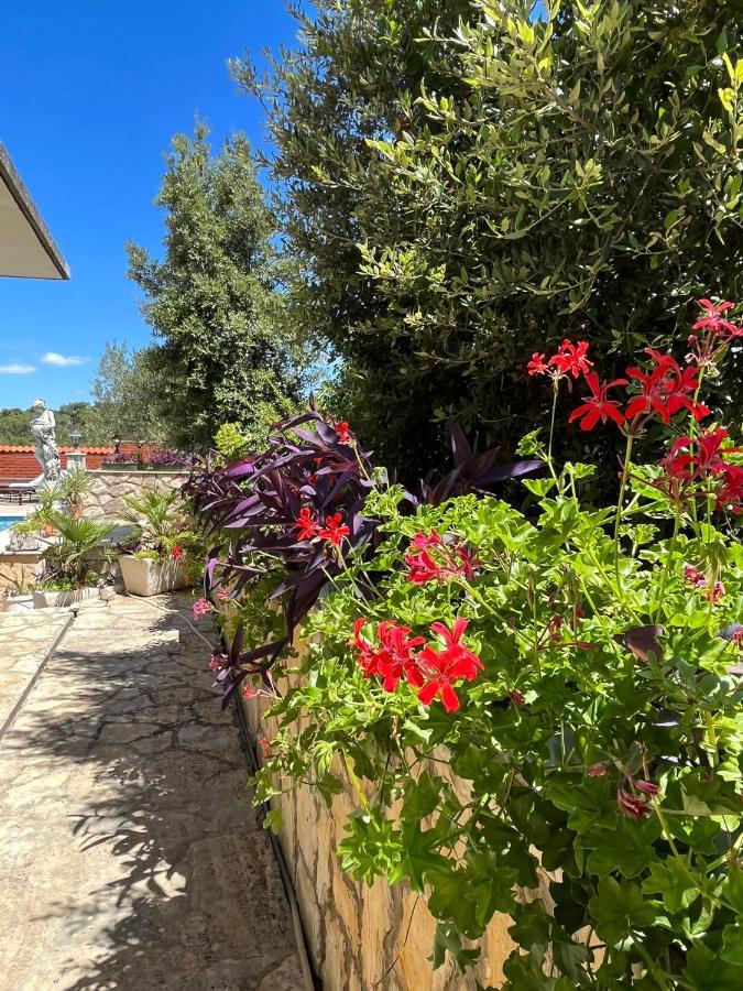 ילסה Apartment With Swimming Pool מראה חיצוני תמונה