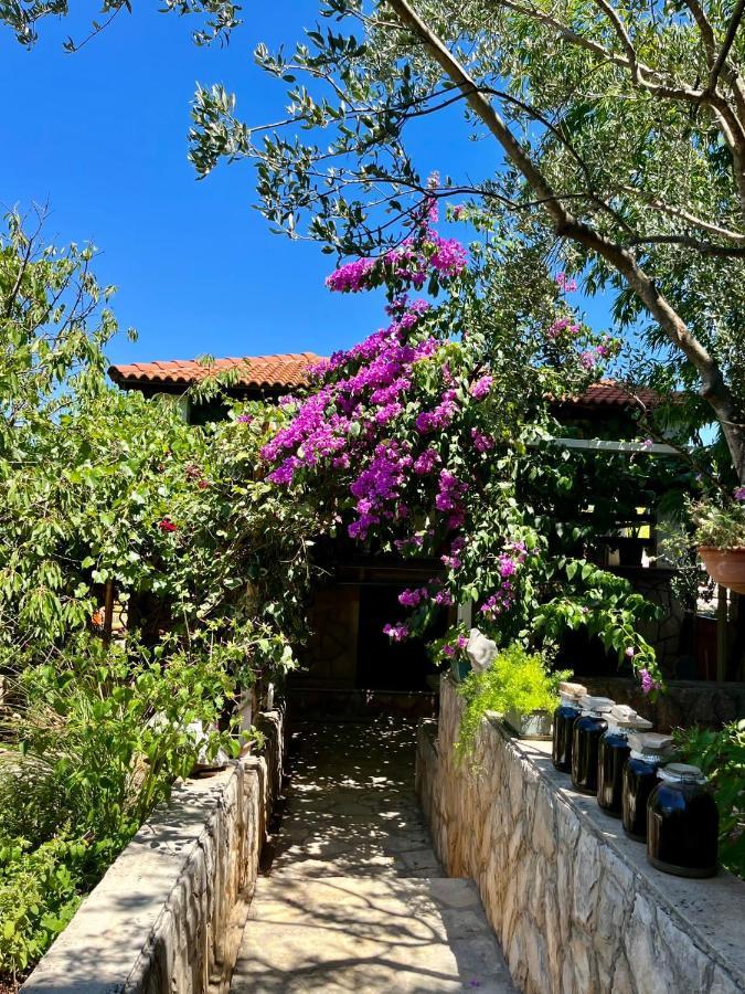 ילסה Apartment With Swimming Pool מראה חיצוני תמונה
